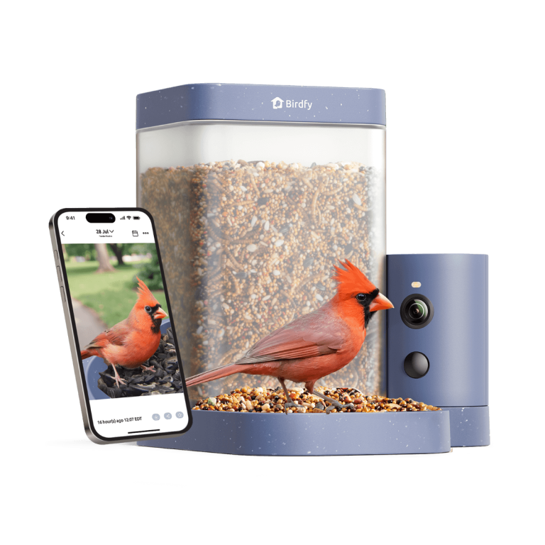 Birdfy Feeder Rookie AI Inteligentny Karmnik dla Ptaków z Kamerą AI z Rozpoznawaniem Gatunków