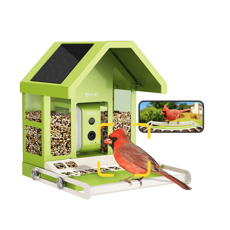 Birdfy Feeder Metal AI Inteligentny Karmnik dla Ptaków z Kamerą AI z Rozpoznawaniem Gatunków