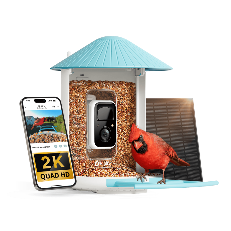 Birdfy Feeder AI Inteligentny Karmnik dla Ptaków z Kamerą AI z Rozpoznawaniem Gatunków
