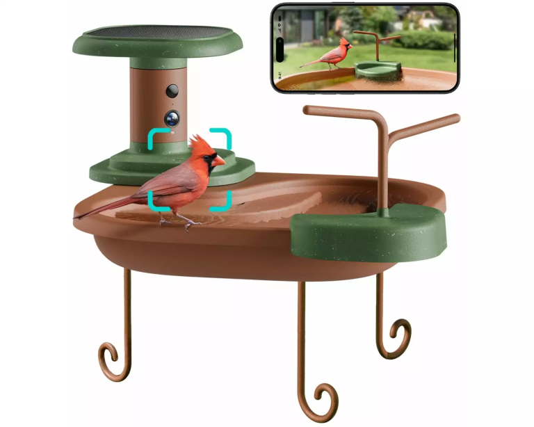 Birdfy Bath Jolly V Wanienka dla Ptaków z Kamerą AI z Rozpoznawaniem Gatunków
